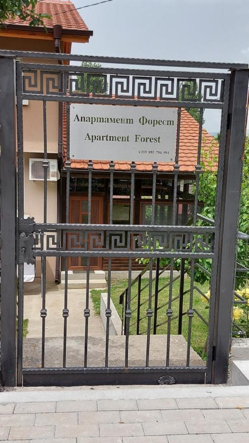 Forest Apartment 萨帕雷瓦巴尼亚 外观 照片