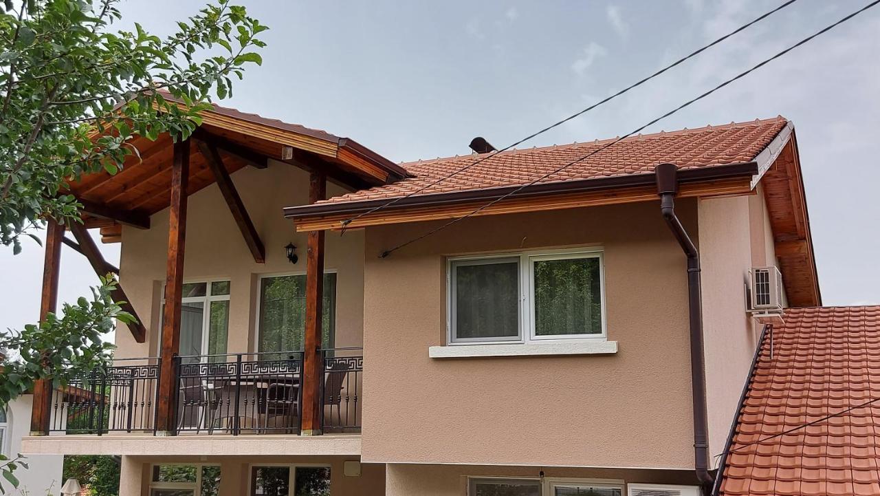 Forest Apartment 萨帕雷瓦巴尼亚 外观 照片