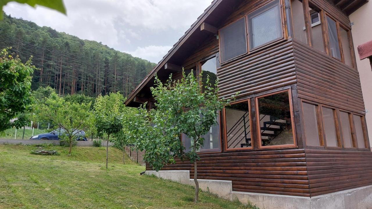 Forest Apartment 萨帕雷瓦巴尼亚 外观 照片