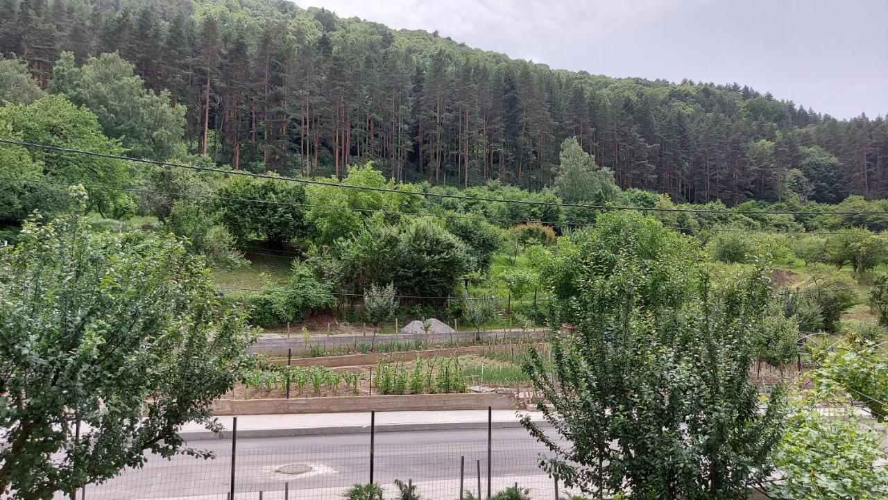 Forest Apartment 萨帕雷瓦巴尼亚 外观 照片