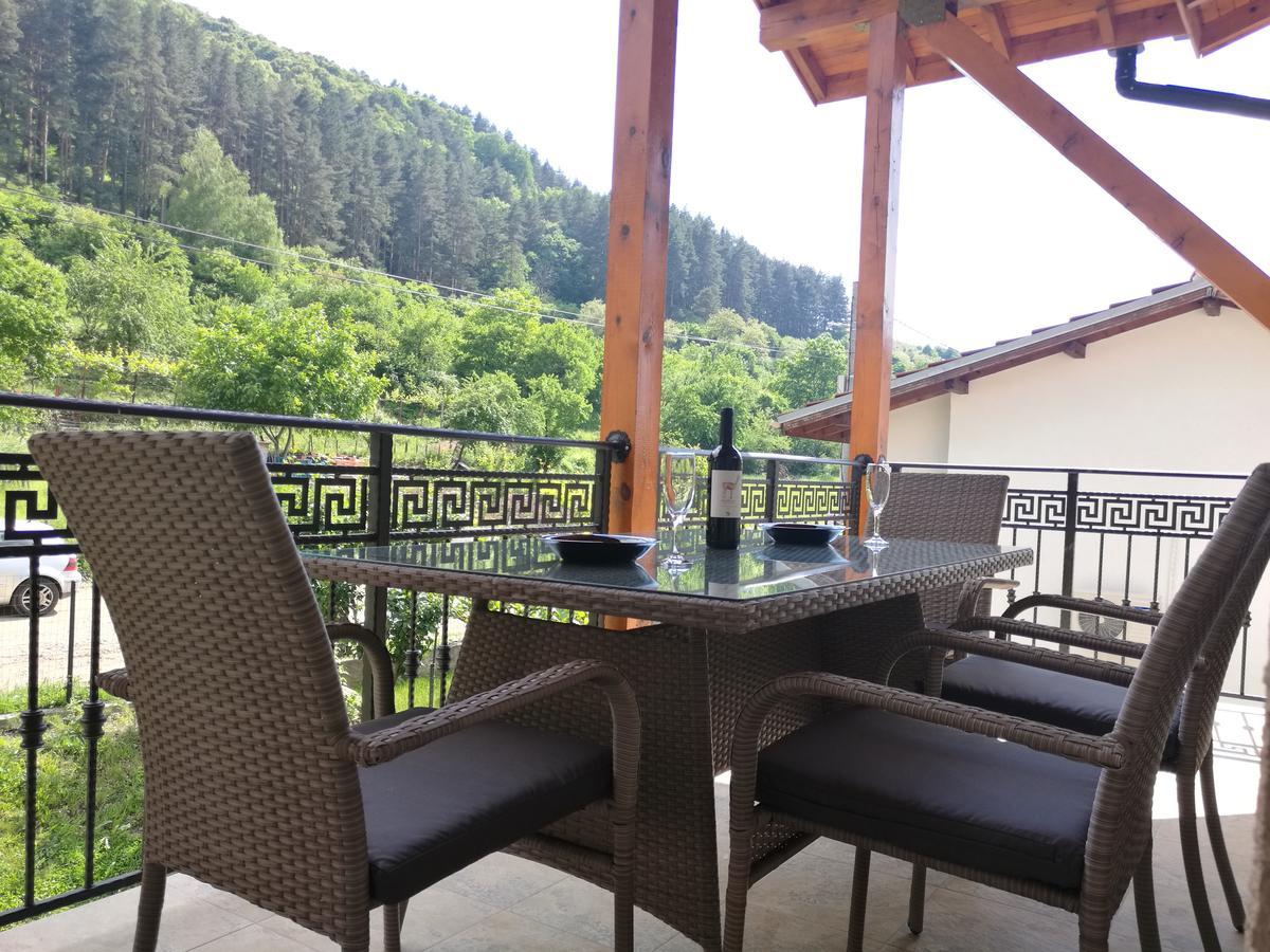 Forest Apartment 萨帕雷瓦巴尼亚 外观 照片